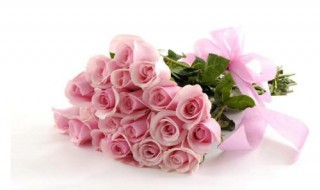 粉色玫瑰花语是什么 粉色玫瑰花语是什么意思19朵