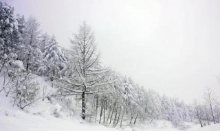 梦见雪花飘是什么征兆 梦见雪花飘是什么征兆 女性