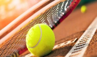 网球适用于初学者的握拍方式 网球适用于初学者的握拍方式是