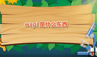 wapi是什么东西（wapi是什么东西默认是开的还是关的）