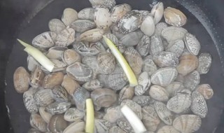 温州花蛤的制作方法