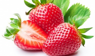 草莓夏季怎么养护（夏天养草莓的注意事项）