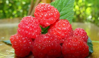 山莓和树莓的区别（什么是山莓）
