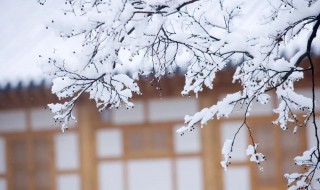 雪的诗句唯美 形容初雪的诗句唯美