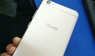 vivo手机开不了机但可以亮（vivo手机开不了机屏幕还亮vivo）