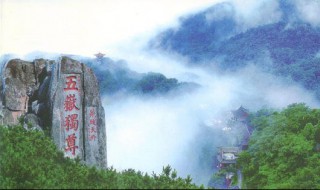 青岛到泰山多少公里（青岛到泰山多少公里几个小时）