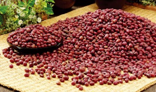 红豆的营养价值及功效与作用（红豆的营养价值及功效与作用禁忌）