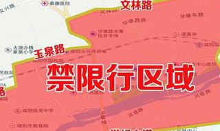 2020上海限号外地车怎么限（上海外地车限号吗2020）