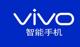 vivox21a能单独换外屏吗 vivox21ia可以换外屏吗