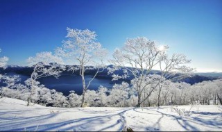 积雪对农作物保温作用的原理（积雪对农作物保温作用的原理是）