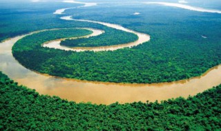 流域面积最大的河是什么河（流域面积最大的河是什么河?）