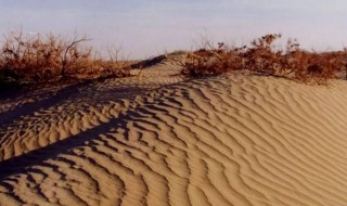 土地沙漠化的原因 土地沙漠化的原因和治理措施