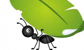 蚂蚁搬家井然有序仿写拟人句 蚂蚁在搬家是拟人句吗