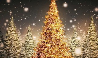 圣诞节为什么有圣诞树 圣诞节为什么有圣诞树的寓意