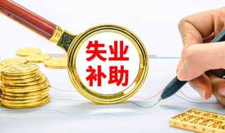 再次失业有没有失业补助金（再次失业有没有失业补助金啊）