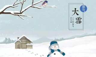 大雪是农历几月（大雪是农历几月几日几点几分）