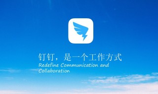 老师的钉钉可以看到什么 老师的钉钉可以看到什么吗