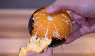 烤金橘的做法（烤橘子的吃法）