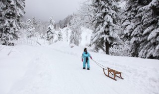 单板滑雪技巧新手（单板滑雪新手入门）