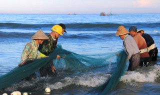 泥鳅鱼养殖方法 泥鳅鱼养殖方法视频