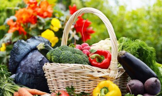 新鲜蔬菜的保管方法 新鲜蔬菜的保管方法最好选用什么保藏法