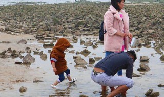 海边赶海抓螃蟹技巧（海边赶海抓螃蟹技巧视频）