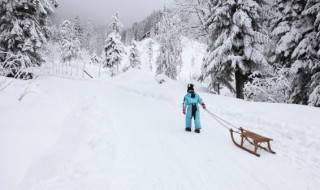 滑板和滑雪单板有什么区别 滑板和滑雪单板一样吗