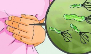 胃螺旋杆菌通过什么传染 胃螺旋杆菌通过什么传染途径