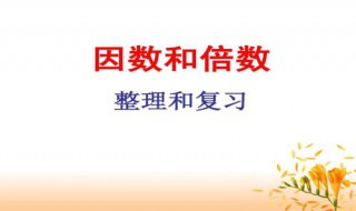 4,47,57其中哪个数有两个因数?（在4,7,12,14,28,42这6个数中(是56的因数）