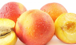 桃子生蛆要用什么药 桃子生蛆,用什么药防治
