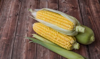 玉米是秋天成熟的吗（玉米是秋天成熟的吗图片）