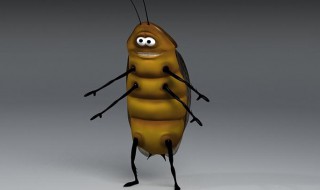 开灯能防止蟑螂爬床吗 蟑螂会靠近熟睡的人吗