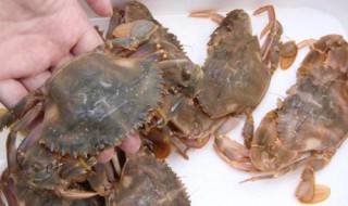快递螃蟹怎样保存鲜活（24小时之内死了的螃蟹能吃吗）