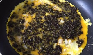 干贝紫菜煎蛋的做法 干贝紫菜煎蛋的做法视频