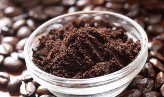 咖啡渣可以做肥料吗 咖啡渣可以当肥料种花吗