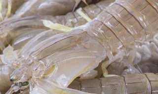 皮皮虾是淡水还是海水 皮皮虾可以人工养殖吗