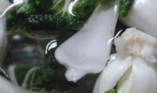 榛蘑焖奶白菜 榛蘑焖奶白菜好吃吗