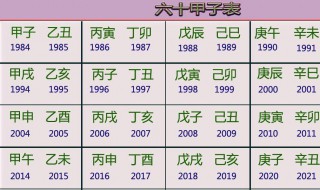 辛巳年是哪一年属什么 农历辛巳年是哪一年