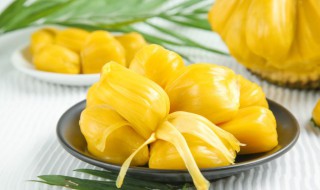 菠萝蜜的核食用禁忌 菠萝蜜核能吃吗的功效与作用