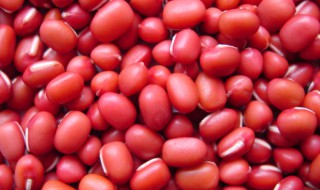 红豆几种怎么区分 红豆几种怎么区分的