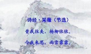 采薇原文及翻译（采薇原文及翻译拼音版）