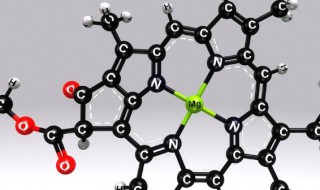 叶绿素的简单结构 叶绿素的简单结构示意图