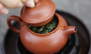 永春茶属于什么茶 永春茶属于什么茶