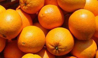 橙子可以放冰箱吗 橙子放冰箱好还是常温保存好