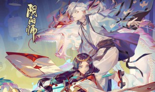 阴阳师17s魂十配置（阴阳师魂十17秒什么阵容）