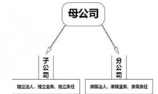 总公司与分公司的关系是什么（总公司与分公司的关系是什么关系）