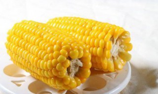 玉米含有叶酸吗 玉米含有叶酸吗能吃吗