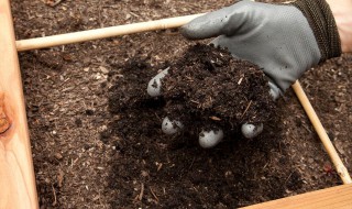 果园堆肥使用方法 果园肥料撒施方法