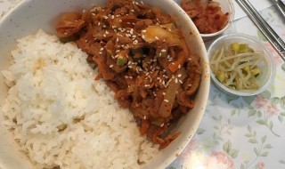 猪肉盖浇饭（卤肉盖饭）