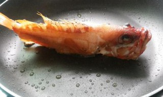 太平洋玫瑰鱼的烹饪方法（玫瑰鱼图片是淡水鱼）